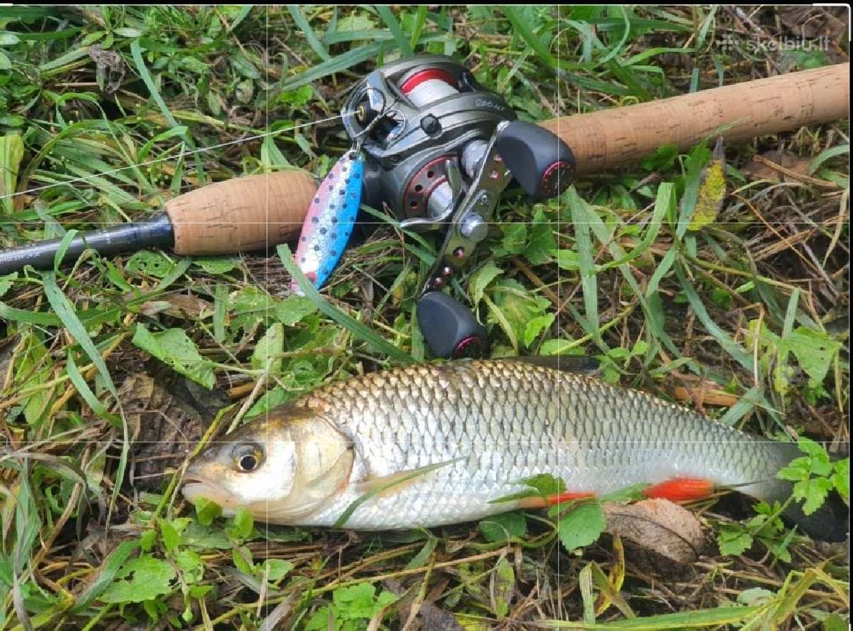 Abu Garcia Revo Alt rite - nuotraukos Nr. 6