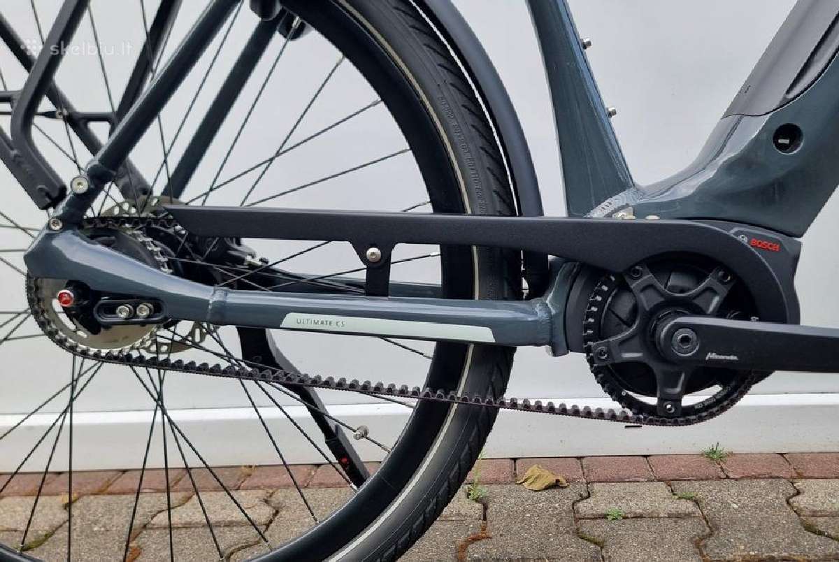 Gazelle Grenoble Bosch Smart diržas - nuotraukos Nr. 2