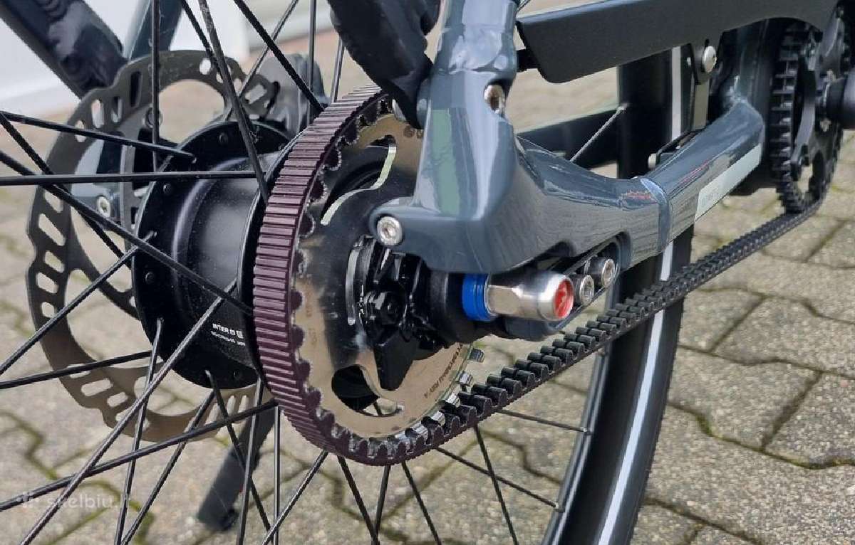Gazelle Grenoble Bosch Smart diržas - nuotraukos Nr. 3