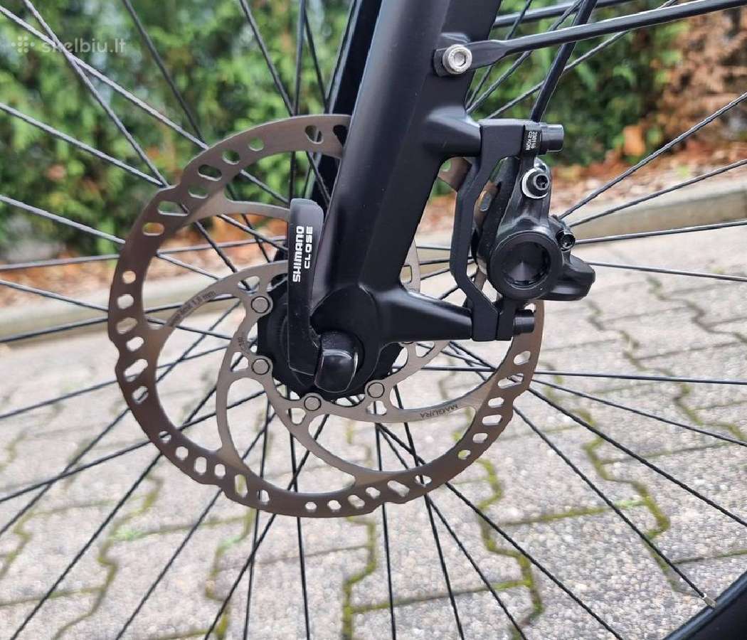 Gazelle Grenoble Bosch Smart diržas - nuotraukos Nr. 5