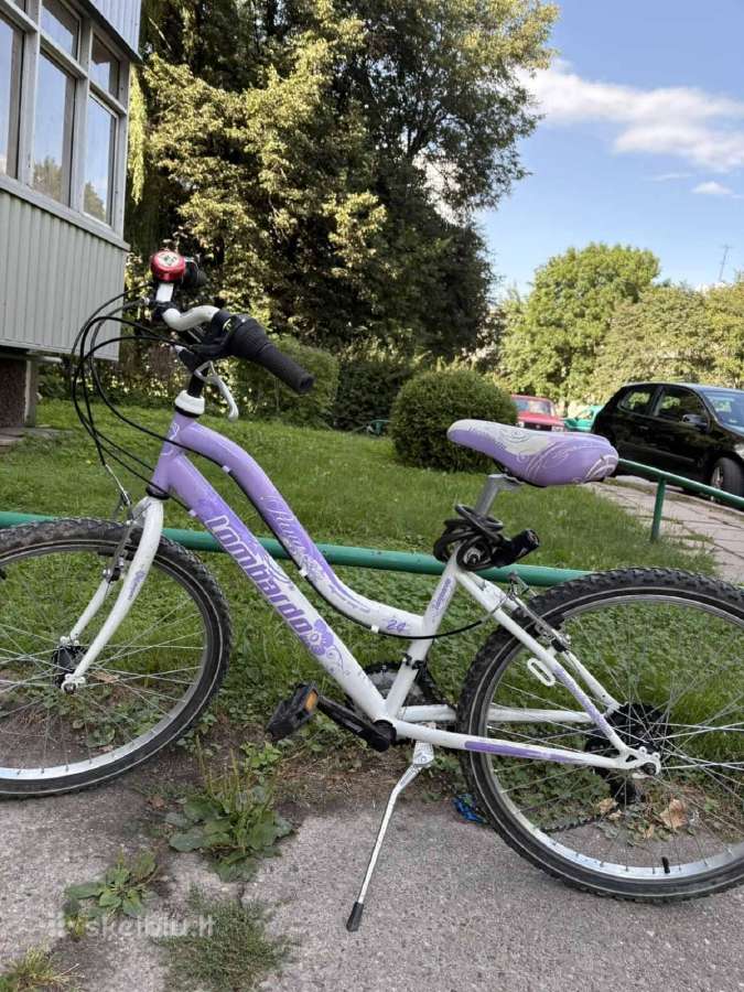 Kaina už visus 3 – 100 €. - nuotraukos Nr. 6