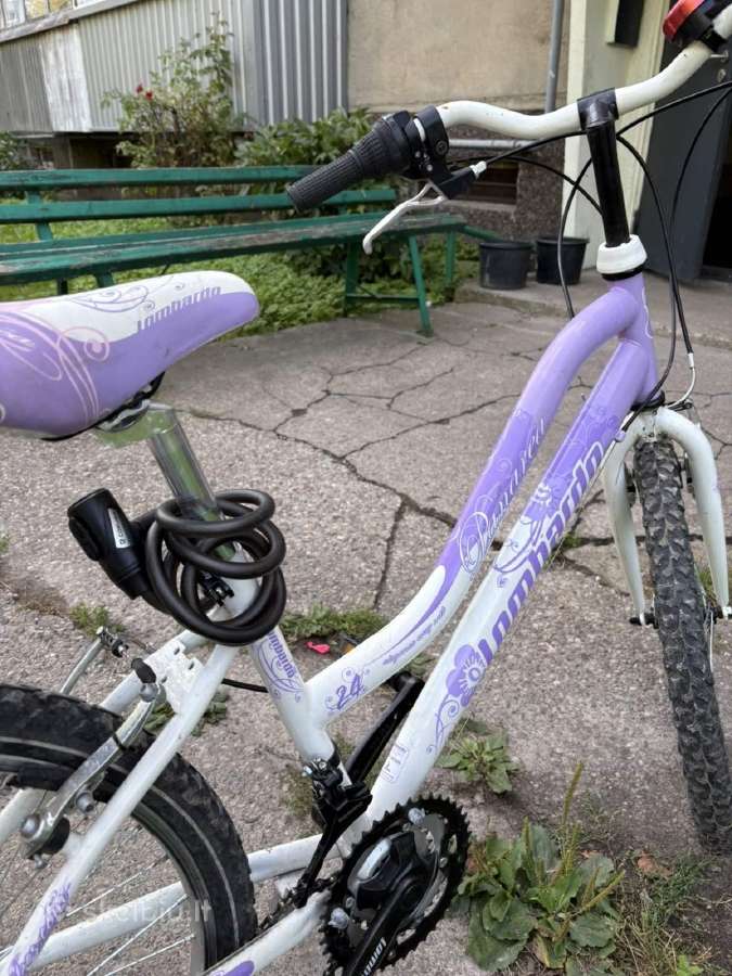 Kaina už visus 3 – 100 €. - nuotraukos Nr. 8