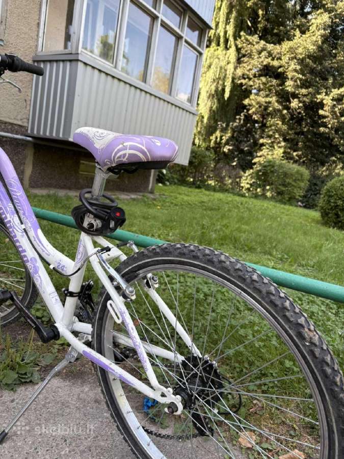 Kaina už visus 3 – 100 €. - nuotraukos Nr. 9