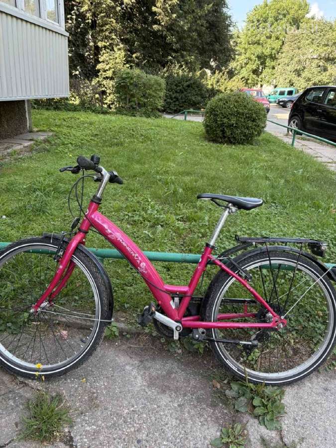 Kaina už visus 3 – 100 €. - nuotraukos Nr. 11