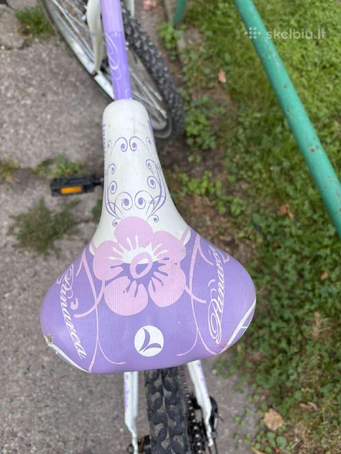 Kaina už visus 3 – 100 €. - nuotraukos Nr. 10