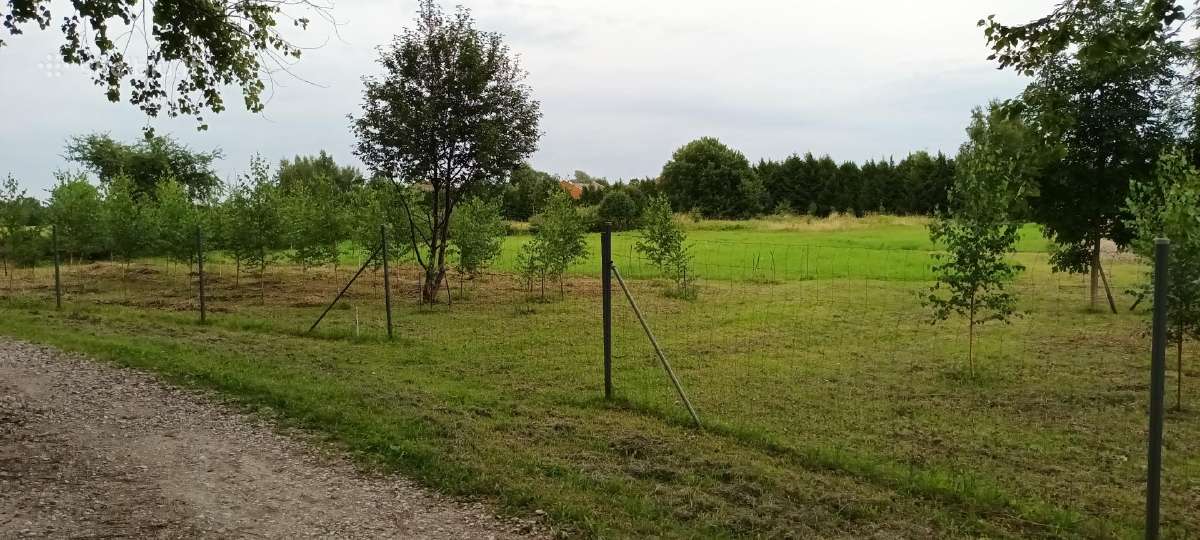 Parduodamas 57a žemės sklypas - nuotraukos Nr. 3