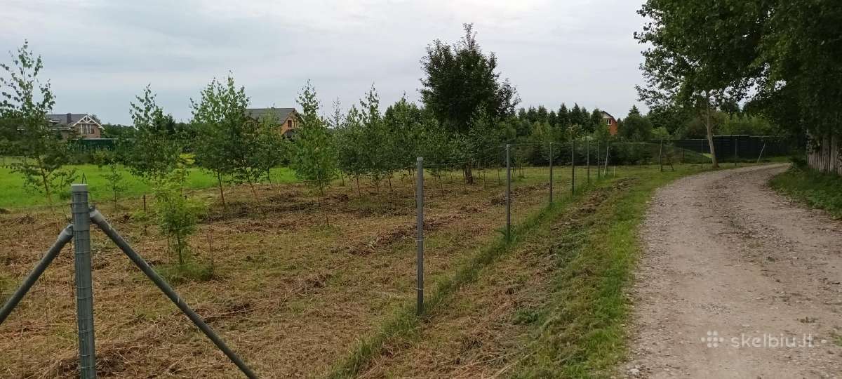 Parduodamas 57a žemės sklypas - nuotraukos Nr. 4