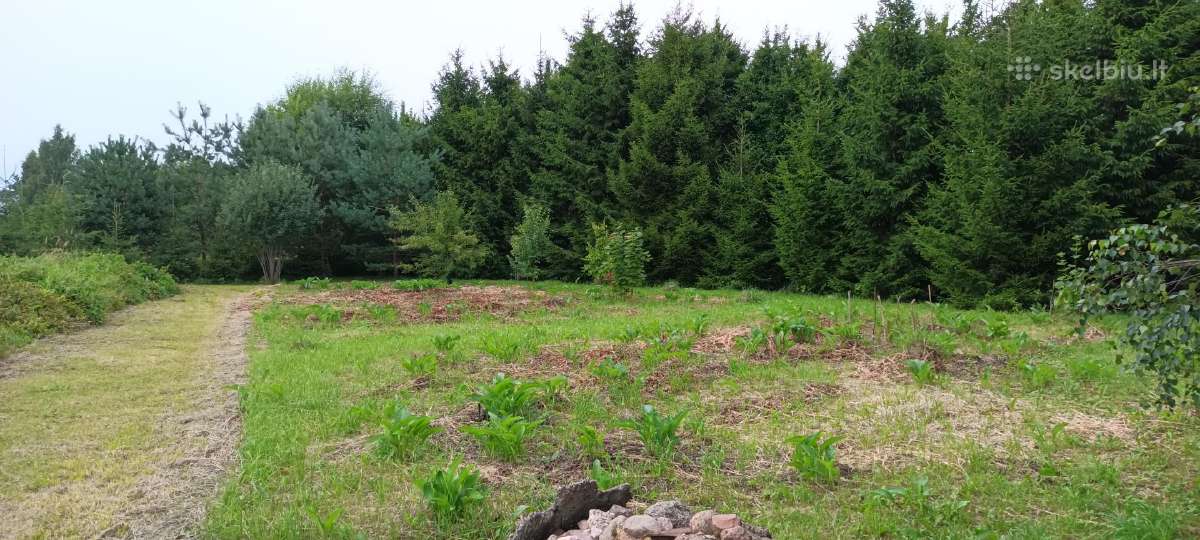 Parduodamas 57a žemės sklypas - nuotraukos Nr. 6