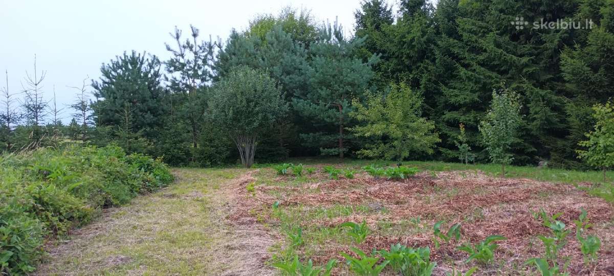 Parduodamas 57a žemės sklypas - nuotraukos Nr. 7