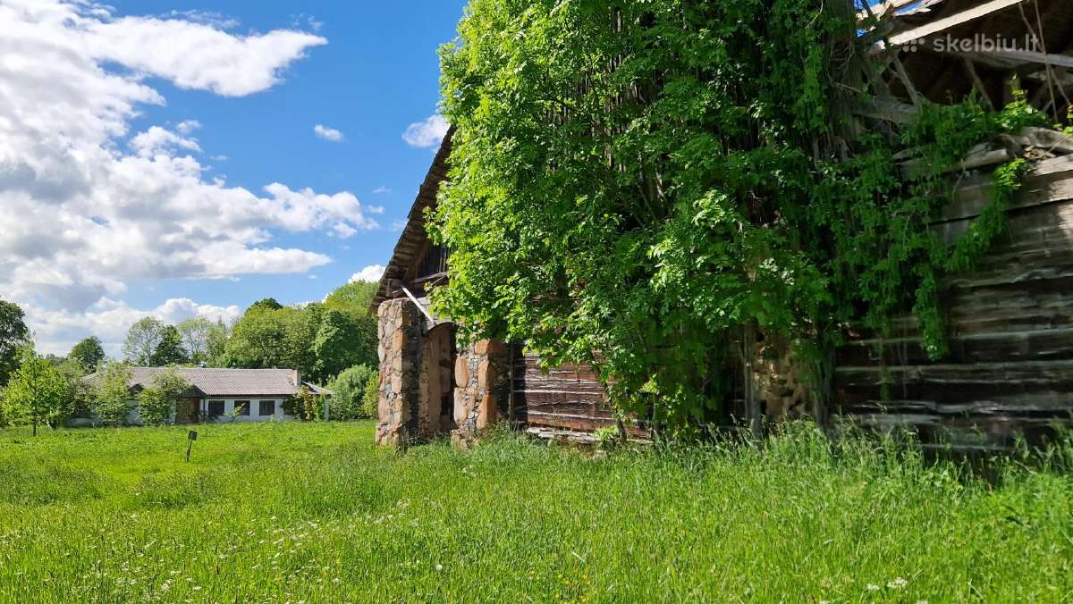 Sklypas su buvusio dvaro kluono griuvėsiais - nuotraukos Nr. 7