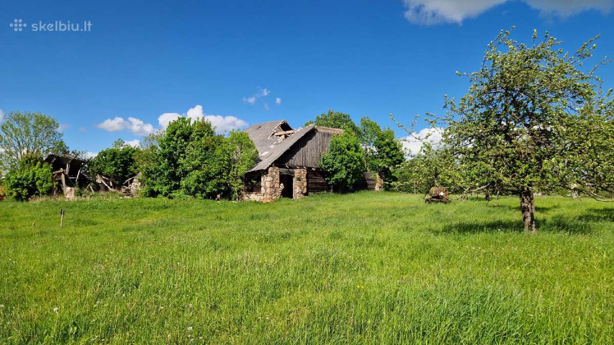 Sklypas su buvusio dvaro kluono griuvėsiais - nuotraukos Nr. 10