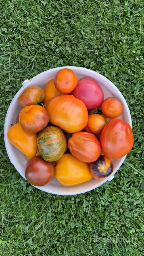 Skanūs naminiai pomidorai - nuotraukos Nr. 2