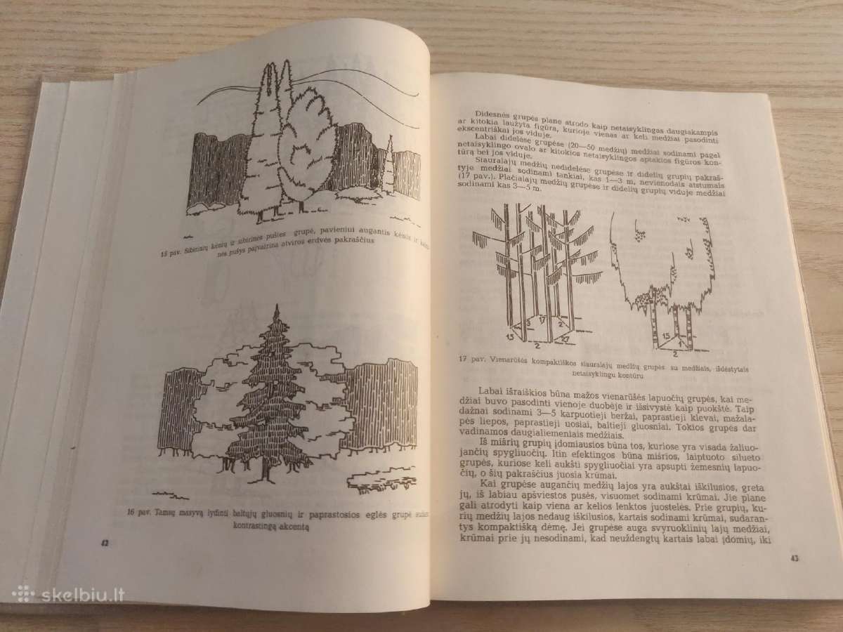 Landšafto architektūra kaime - A. Tauras 1974m - nuotraukos Nr. 7