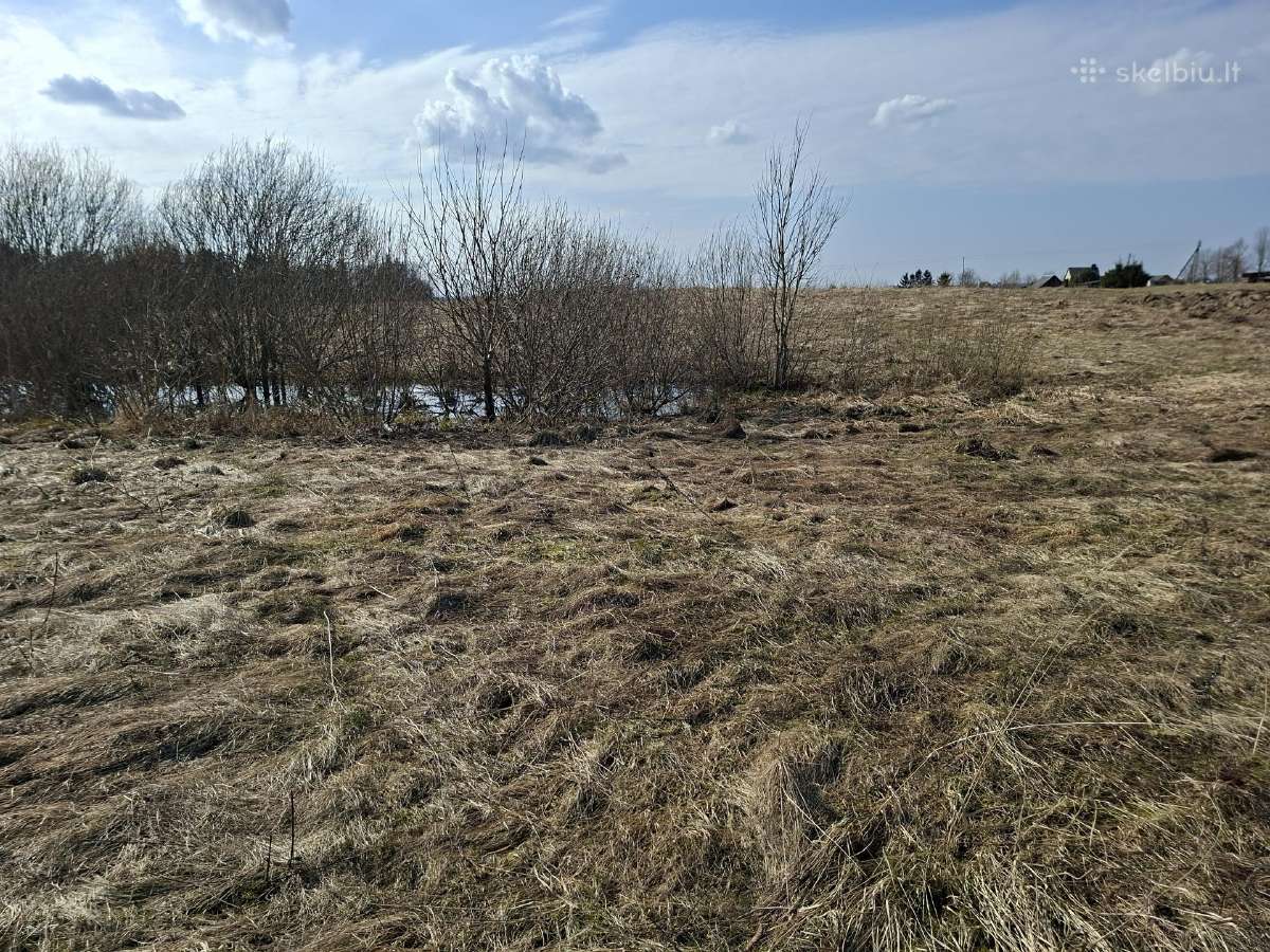 Sklypas Rainiuose - nuotraukos Nr. 4