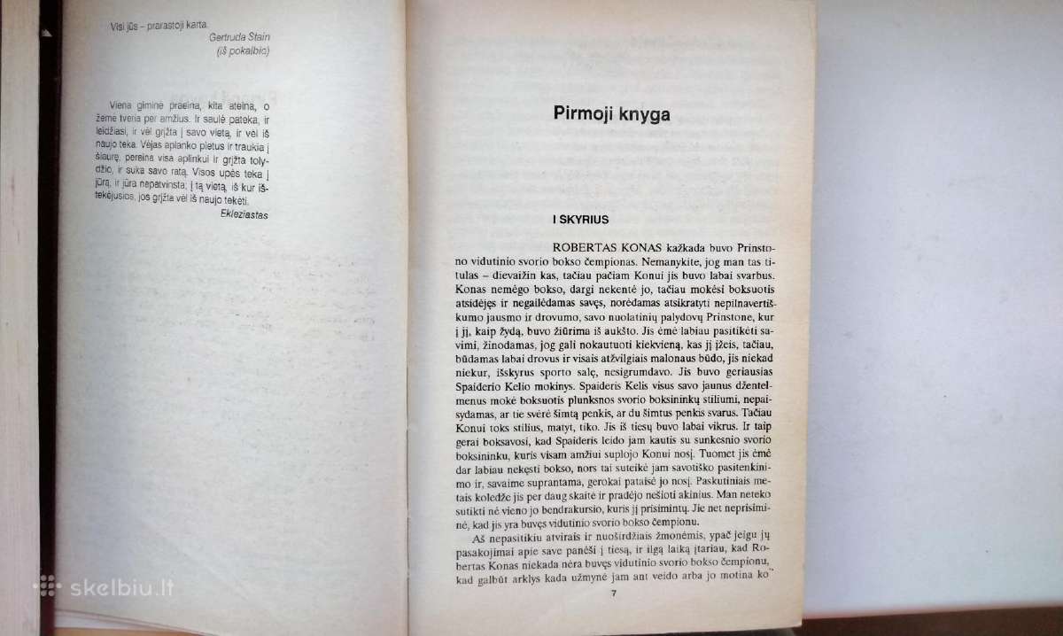 E. Hemingvėjus. Fiesta. Turėti ir neturėti. 1993m. - nuotraukos Nr. 4
