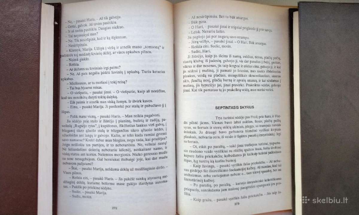 E. Hemingvėjus. Fiesta. Turėti ir neturėti. 1993m. - nuotraukos Nr. 11
