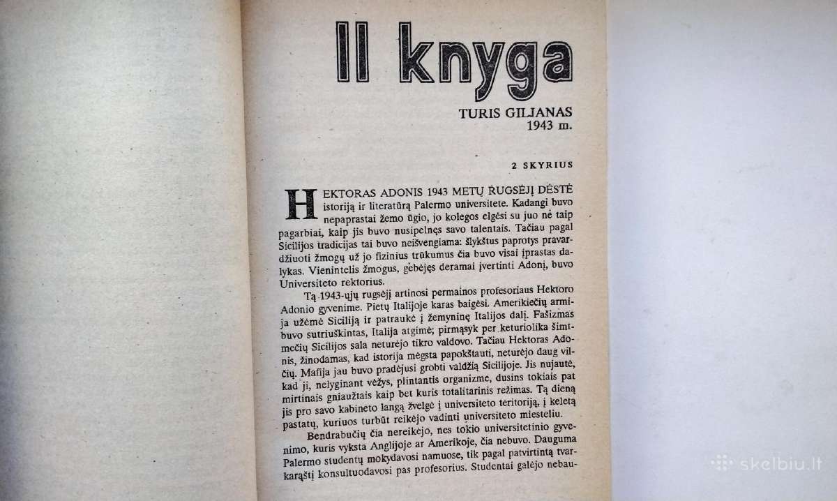 M. Pjuzo. Krikštatėvis. Sicilietis. 1991,1993 m. - nuotraukos Nr. 12