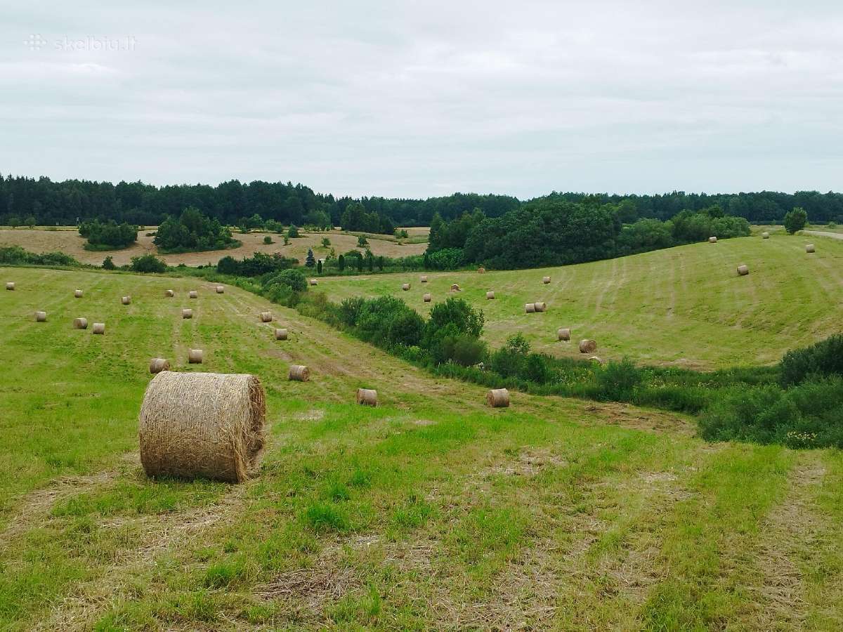 Erdvūs sklypai slėnyje, namų valda, panorama - nuotraukos Nr. 3