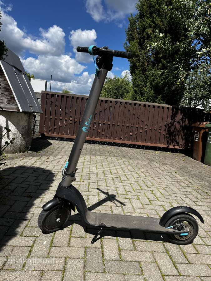 Elektrinis paspirtukas - nuotraukos Nr. 2