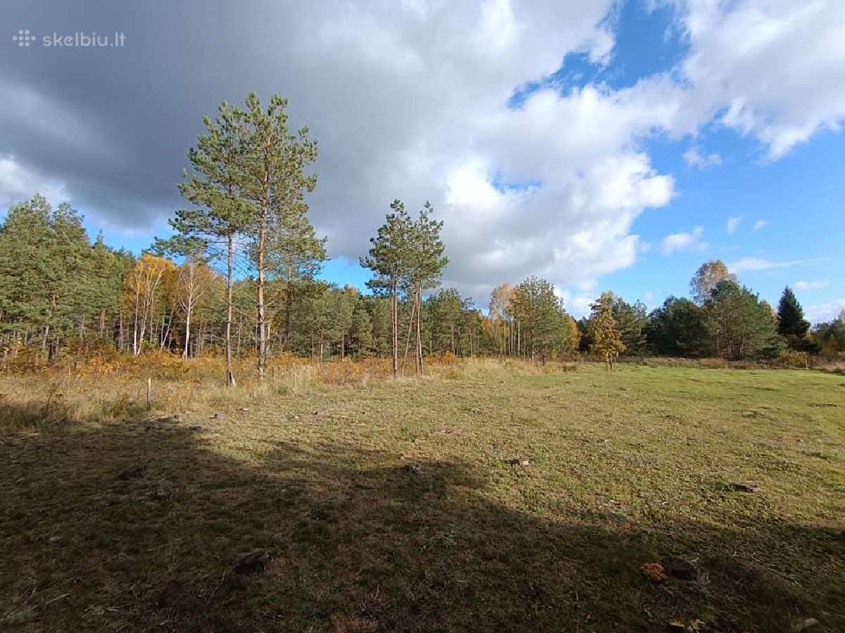 Birštono sav. Nemuno kilpų reg. parkas Šilėnai - nuotraukos Nr. 31