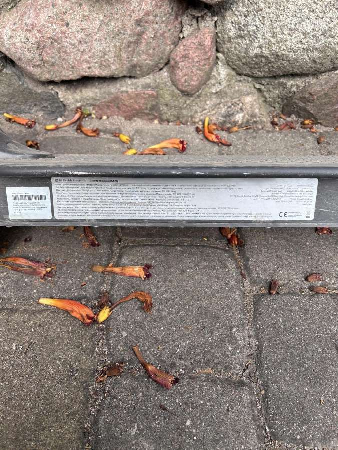 Elektrinis paspirtukas Xaomi - nuotraukos Nr. 9