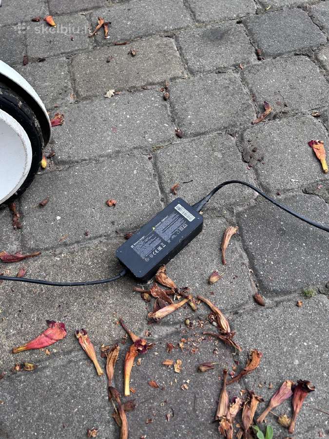 Elektrinis paspirtukas Xaomi - nuotraukos Nr. 11