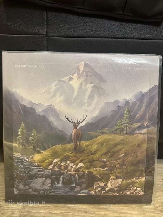 Vinilai - nuotraukos Nr. 3