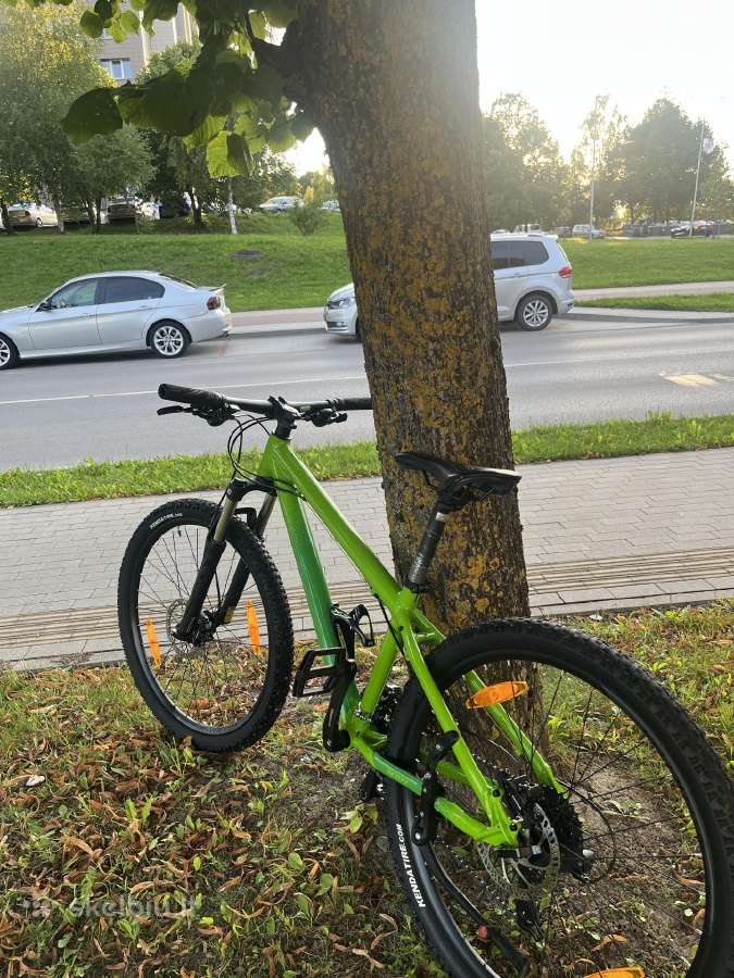 Kalnų dviratis Scott Roxter 610 paaugliui - nuotraukos Nr. 2
