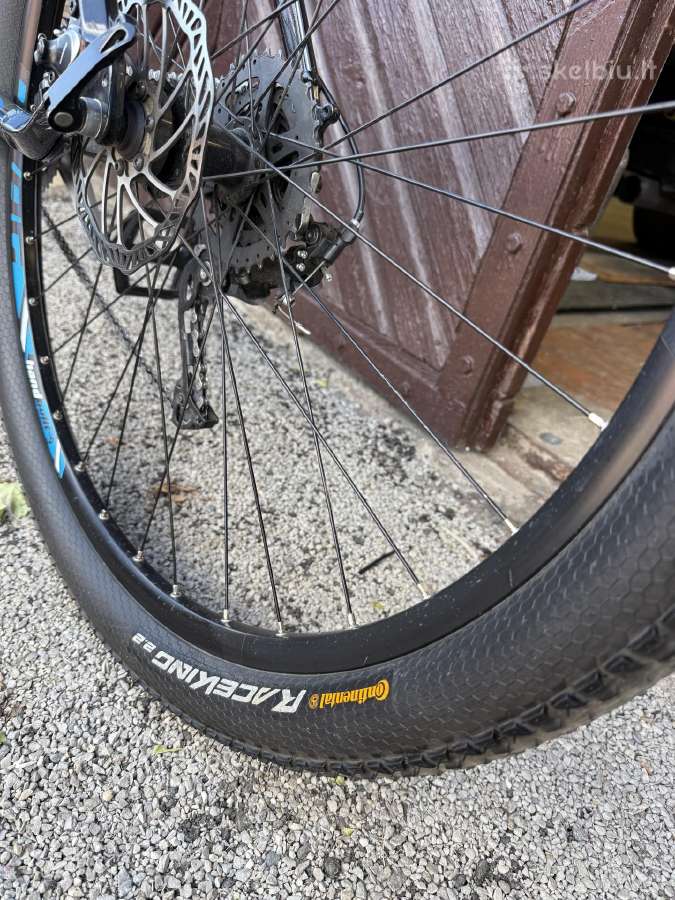 Drag Hardy 29 - nuotraukos Nr. 4