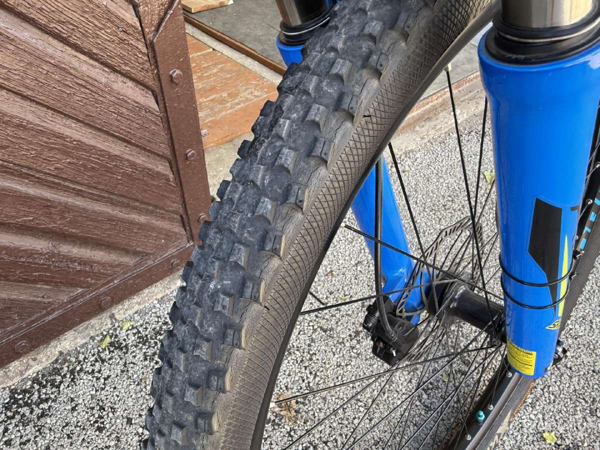 Drag Hardy 29 - nuotraukos Nr. 8