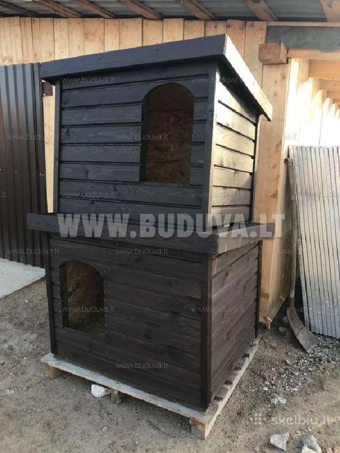 Suns Buda, voljerai - nuotraukos Nr. 4