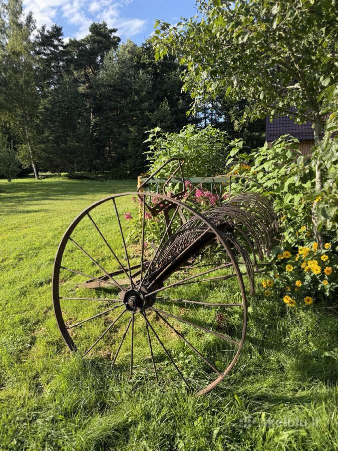 Arklinė grėbiamoji - nuotraukos Nr. 2