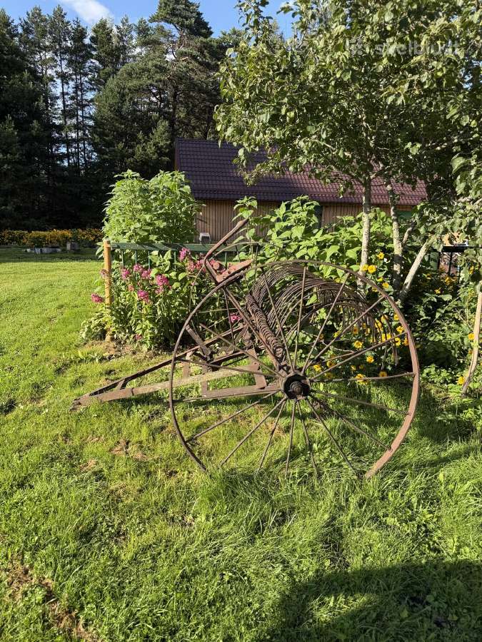 Arklinė grėbiamoji - nuotraukos Nr. 3