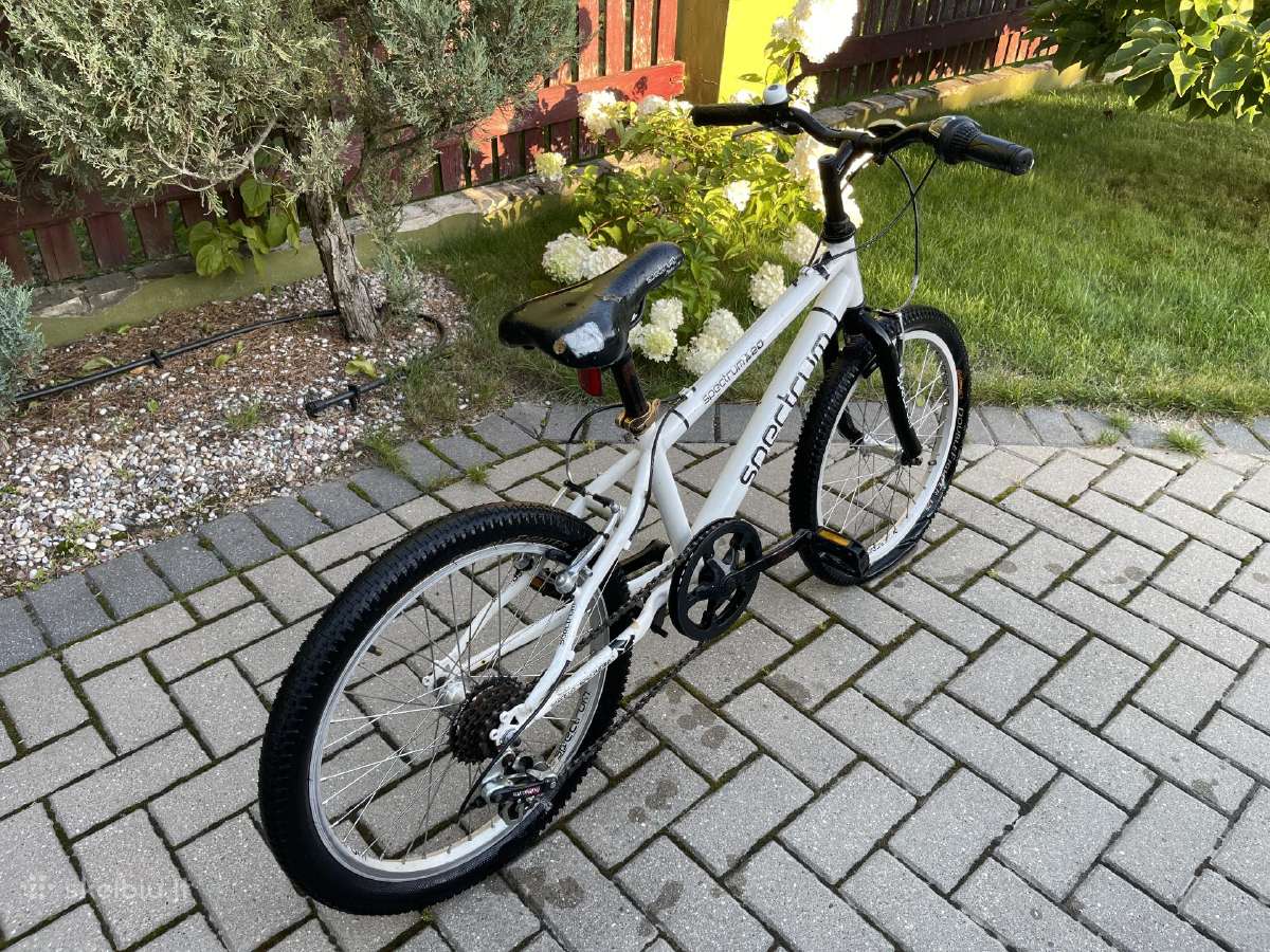 Vaikiškas dviratukas 20" ratais Spectrum 20 - nuotraukos Nr. 2