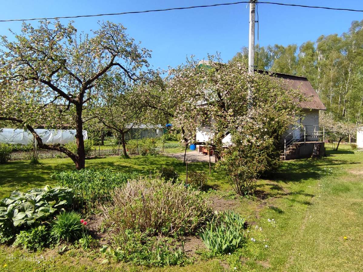 Parduodamas Sodas/sodyba - nuotraukos Nr. 15
