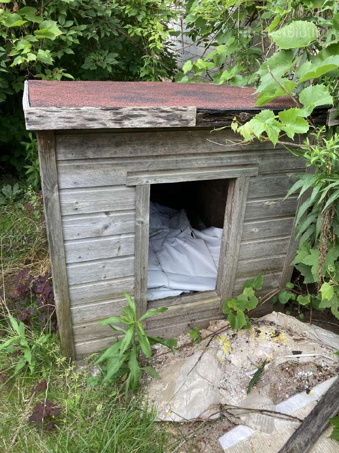Dovanojama šuns būda - nuotraukos Nr. 2