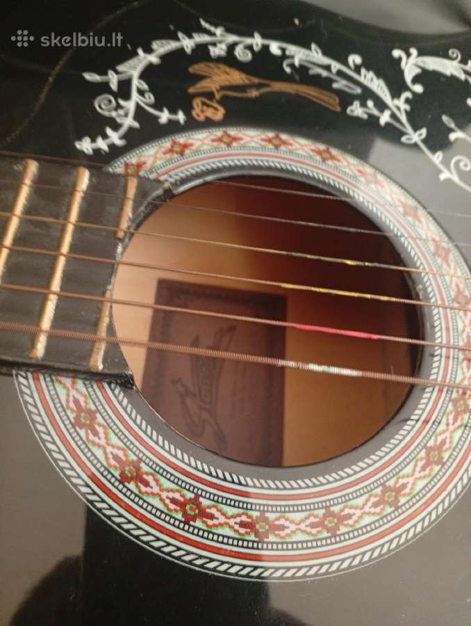 Gitara - nuotraukos Nr. 4