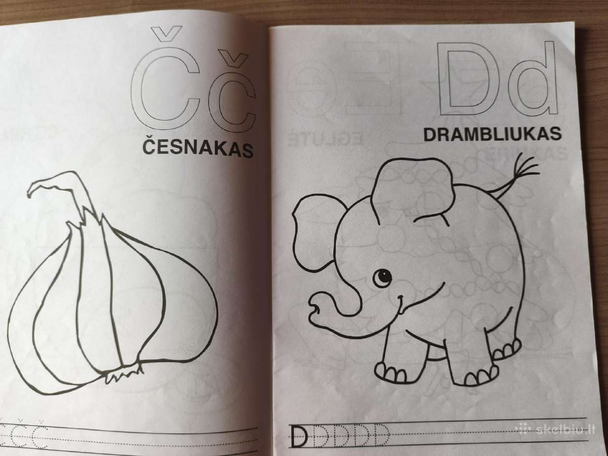 "Mano pirmoji abėcėlė" - nuotraukos Nr. 5