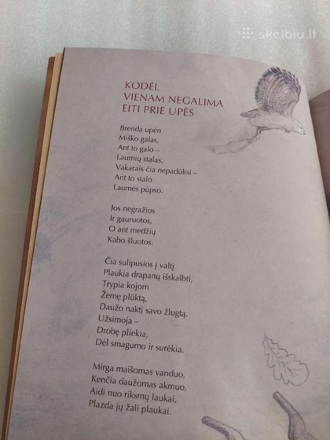Kodėl miške švilpauti negalima - nuotraukos Nr. 3