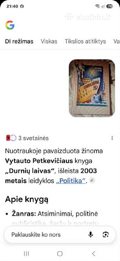 Durnių laivas - nuotraukos Nr. 2
