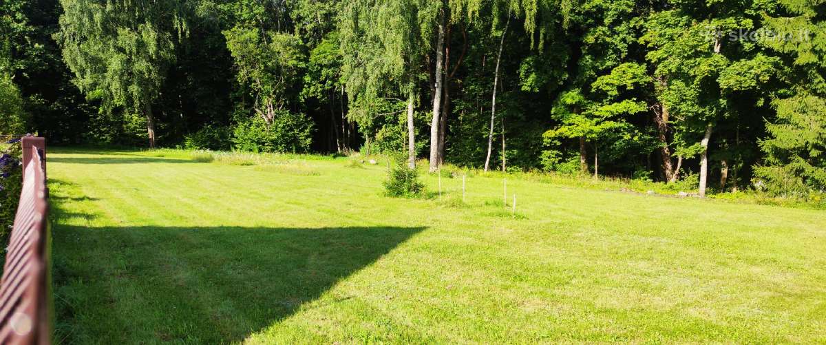 Vejos, žolės,pievų pjovimas vejapjovei/mulčiavimas - nuotraukos Nr. 3