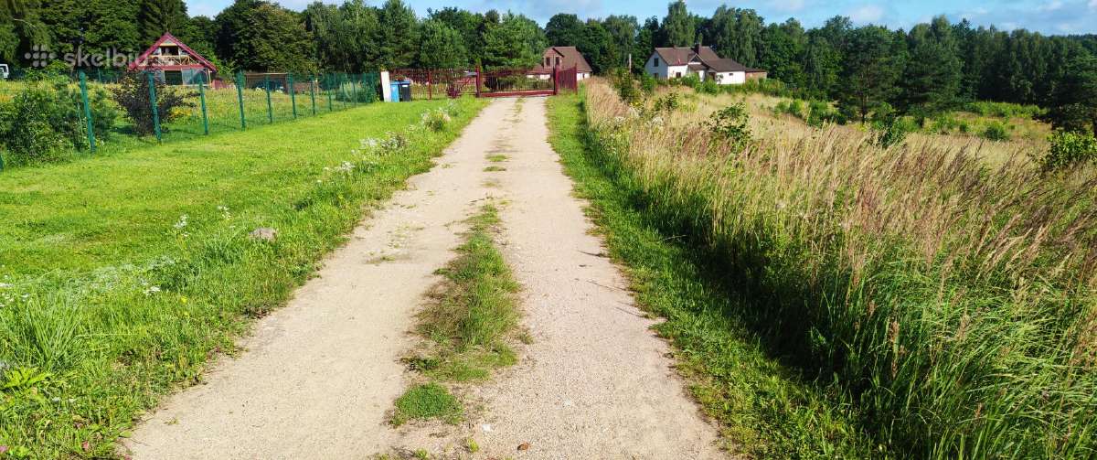 Vejos, žolės,pievų pjovimas vejapjovei/mulčiavimas - nuotraukos Nr. 5