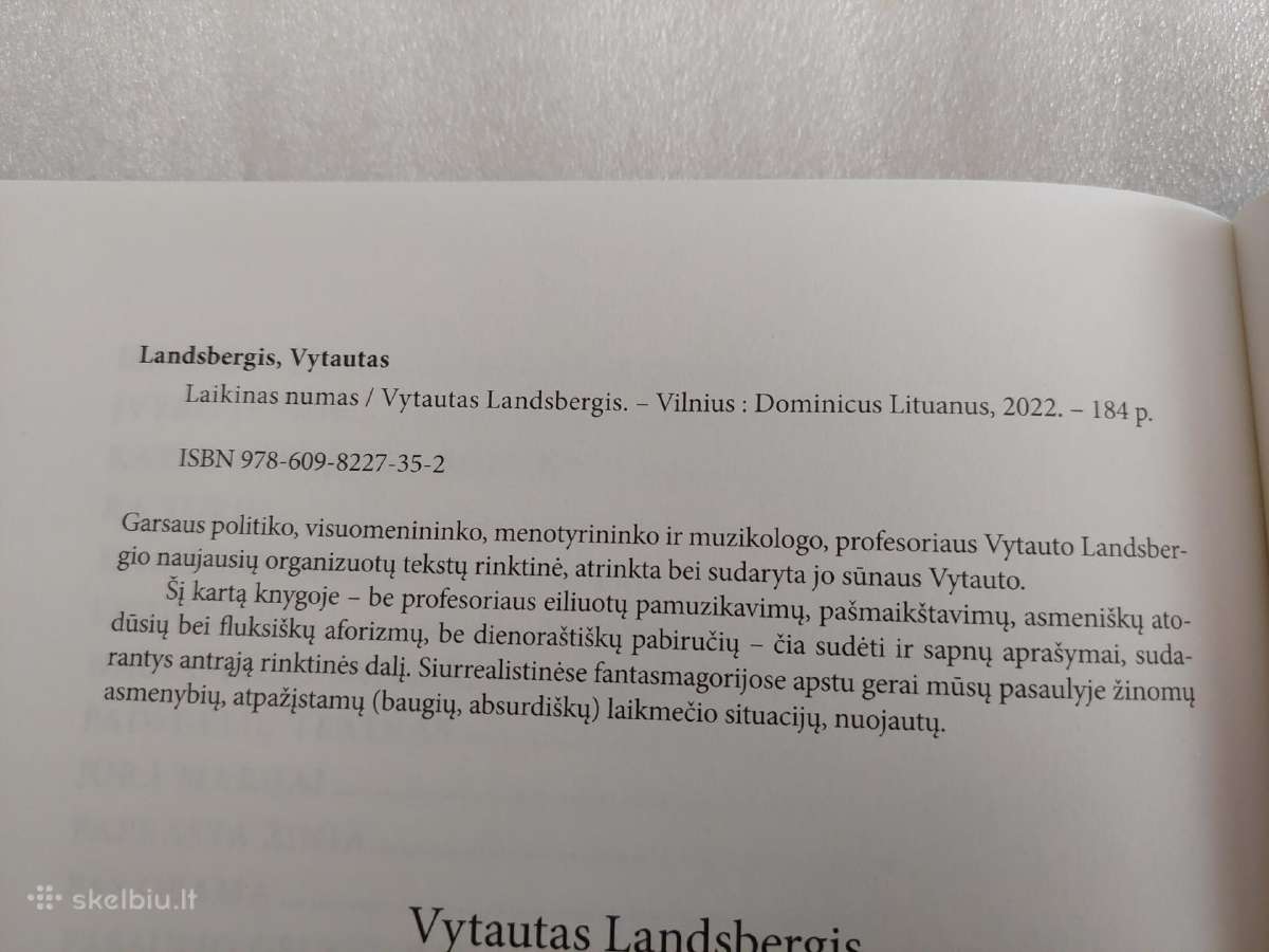 Laikinas numas - nuotraukos Nr. 3