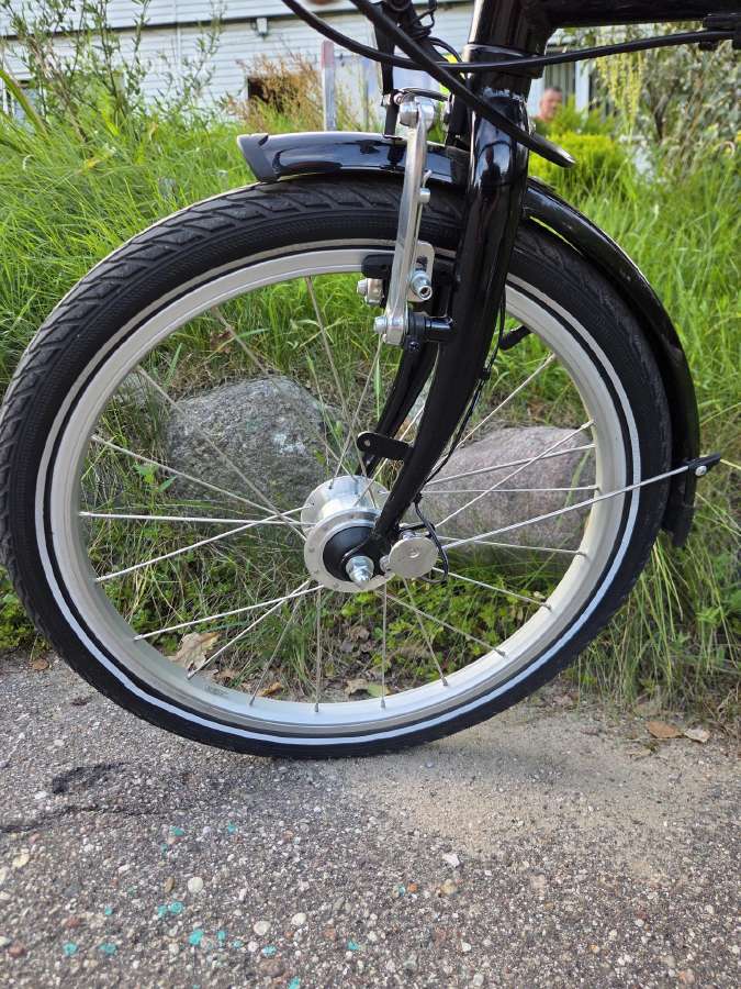 Sulankstomas dviratis dahon tern - nuotraukos Nr. 4