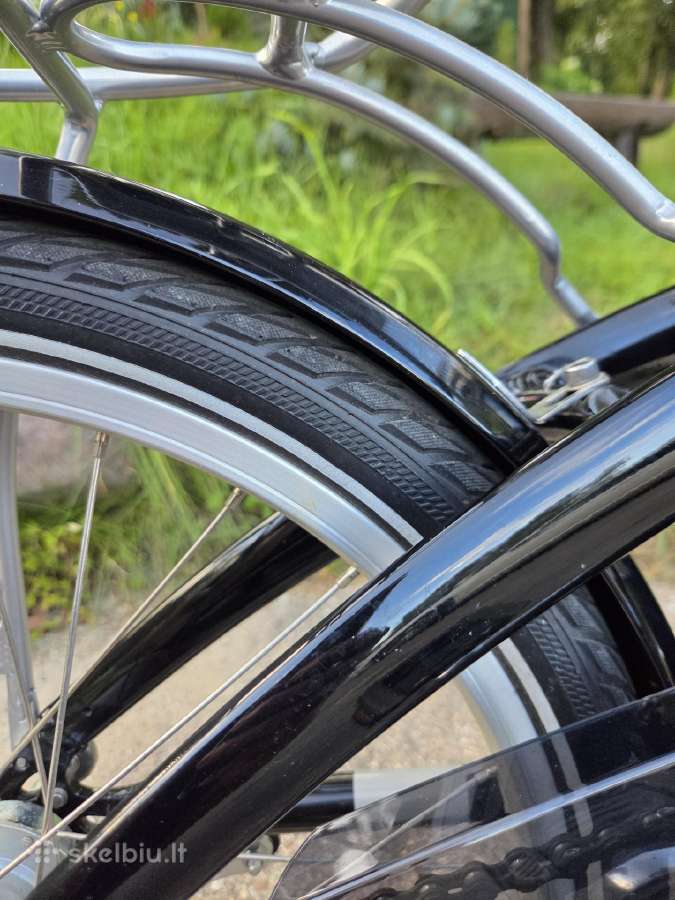 Sulankstomas dviratis dahon tern - nuotraukos Nr. 6
