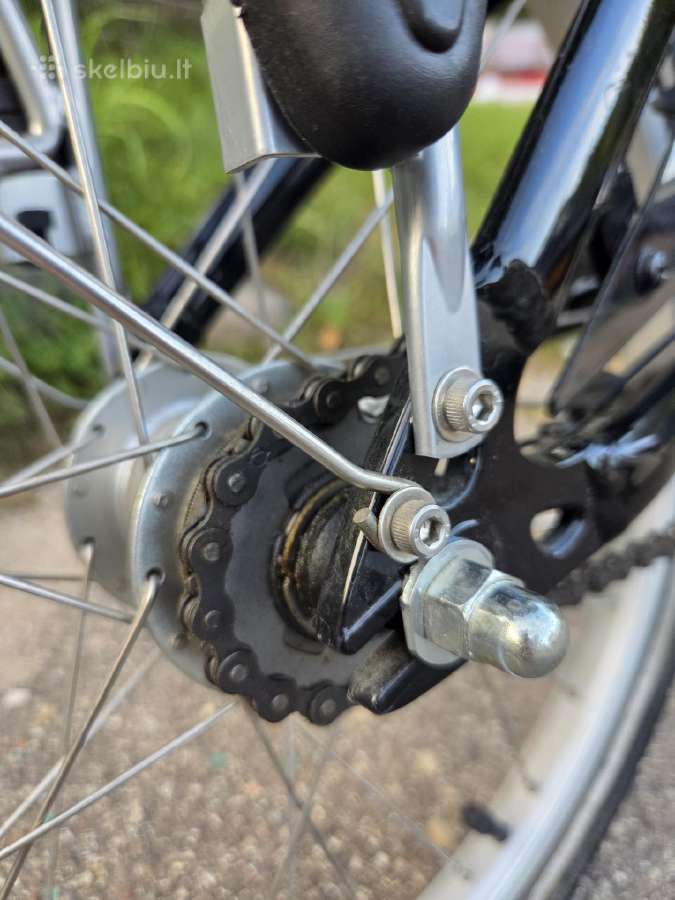 Sulankstomas dviratis dahon tern - nuotraukos Nr. 12