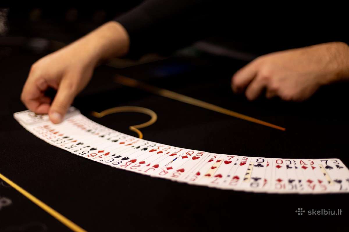 Pramoginis kazino Jūsų šventei Casino Garden - nuotraukos Nr. 3