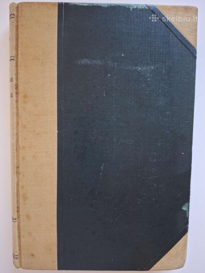 Josef Pfitzner. Vytautas kaip politikas. 1930 m. - nuotraukos Nr. 2