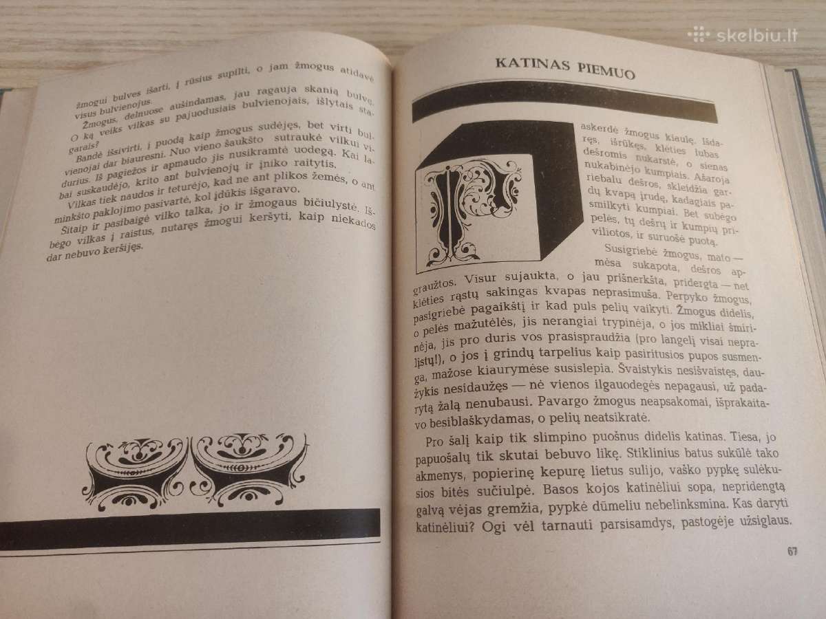Vai tai dūda - Mykolas Sluckis 1972m. - nuotraukos Nr. 7