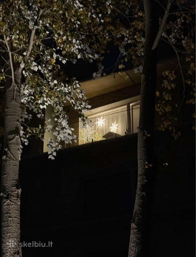 Šviečiantis LED dekoratyvinis medelis - nuotraukos Nr. 3